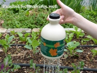 Fun in the Making Recycled Watering Pot